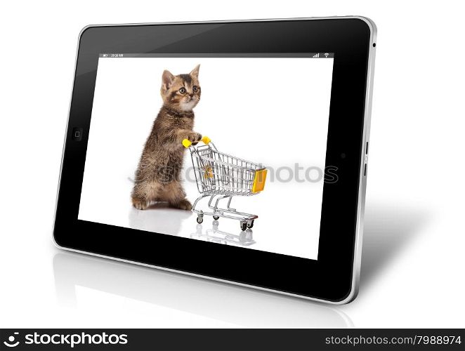 pet shop concept. cat with shopping cart. online shopping