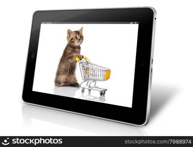 pet shop concept. cat with shopping cart. online shopping