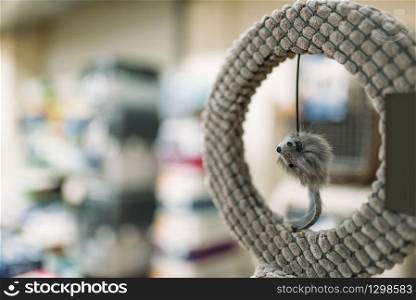 Pet shop, ring with mouse closeup, accessories for cats, nobody. Petshop variety, no people