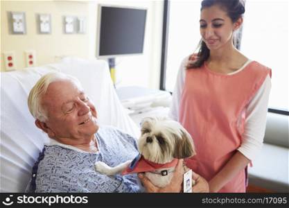 Pet Therapy Dog Visiting Senior Male Patient In Hospital