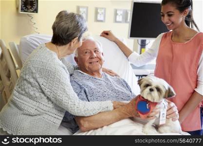 Pet Therapy Dog Visiting Senior Male Patient In Hospital