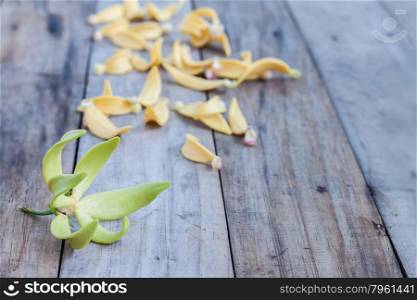 Petal of Climbing Ylang-Ylang, Manorangini, Hara-champa, Kantali champa,a tropical flower in Thailand,on wooden background