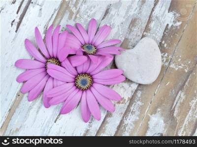 petals of pink flowers on a white painted wooden table with stone heart shaped