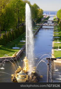 PETERHOF, RUSSIA - May, 2019: the fountain of the Grand Cascade in the Lower Park. PETERHOF, RUSSIA- May 2019: the fountain of the Grand Cascade in the Lower Park