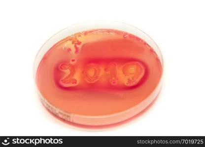 Petri dish, germ concept, year 2019