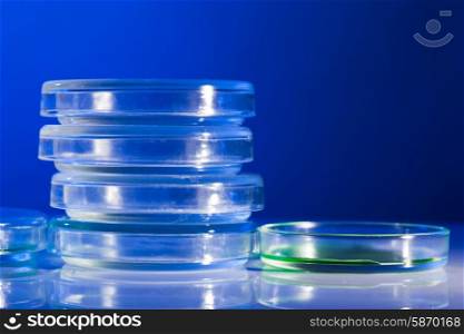 Petri dishes in laboratory blue light close up. Petri dishes