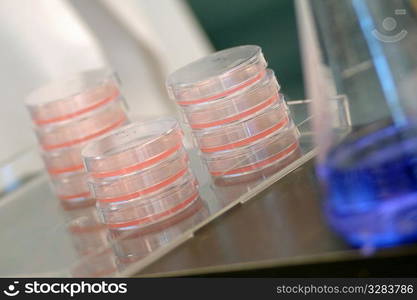 Petrie dishes stack up in chemistry research lab.