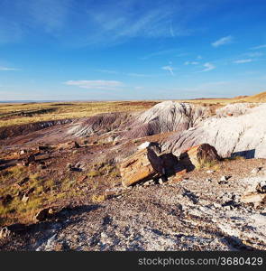 Petrified Forest National Park, Arizona.