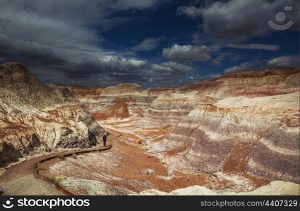 Petrified Forest National Park, Arizona.