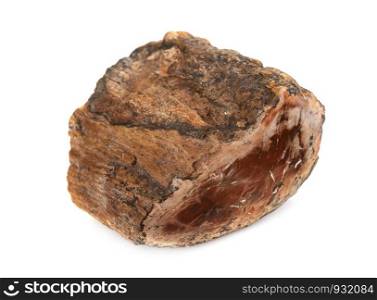 petrified wood in front of white background