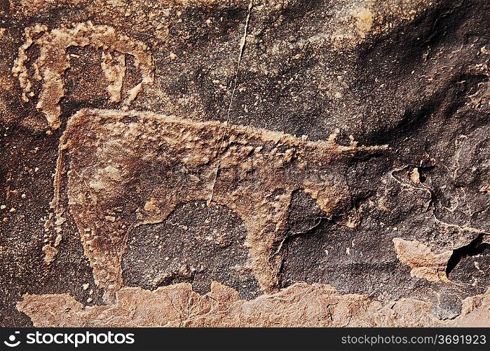 petroglyph in Morocco