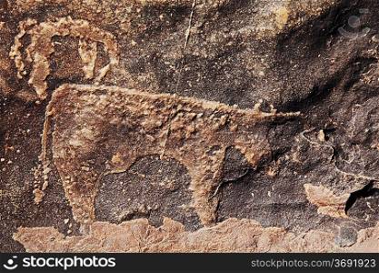 petroglyph in Morocco