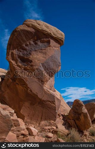 Petroglyphs located in Dinosaur National Monument, Utah