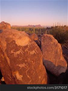 Petroglyphs of Animals With Cacti in Background