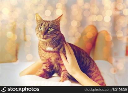 pets, comfort, christmas, winter and people concept - young woman with cat lying in bed at home. young woman with cat lying in bed at home