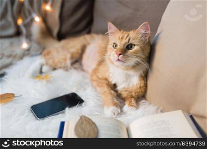 pets, hygge and domestic animal concept - red tabby cat lying on sofa with smartphone and book at home. red cat lying on sofa with smartphone at home
