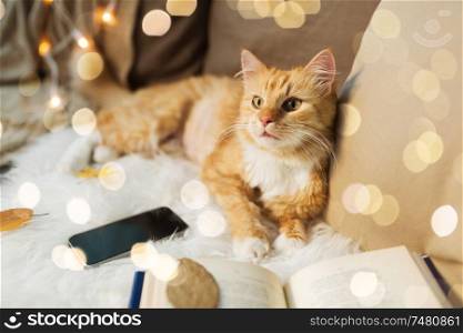 pets, hygge and domestic animal concept - red tabby cat lying on sofa with smartphone and book at home. red cat lying on sofa with smartphone at home