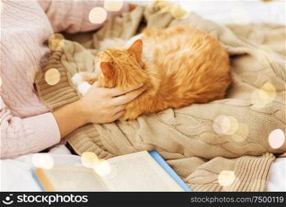 pets, hygge and people concept - close up of female owner stroking red tabby cat in bed at home. close up of owner stroking red cat in bed at home