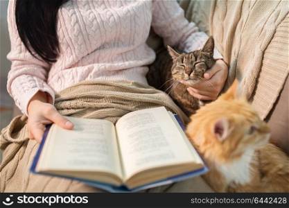 pets, hygge and people concept - close up of red and tabby cat and female owner reading book in bed at home. red and tabby and owner reading book at home