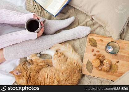 pets, hygge and people concept - woman with coffee, book, cookies and red tabby cat sleeping on blanket at home in autumn. woman with coffee and red cat sleeping in bed