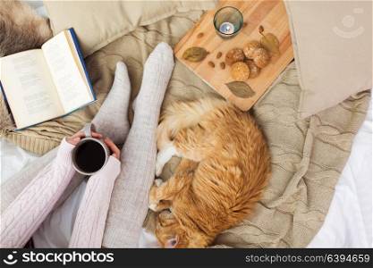 pets, hygge and people concept - woman with coffee, book, cookies and red tabby cat sleeping on blanket at home in autumn. woman with coffee and red cat sleeping in bed