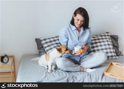 Pets, morning, comfort, rest and people concept. Beautiful woman has breakfast on bed, drinks coffee with croissant and her pet who is hungry, sit in bedroom. Female has snack at morning