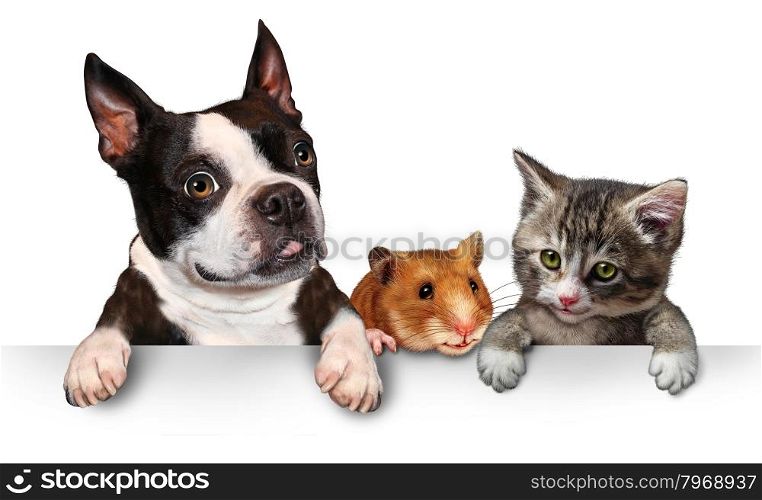 Pets sign for veterinary medicine and pet store or animal adoption advertising and marketing message with a cute dog hamster and a cat hanging on a horizontal white placard with copy space.