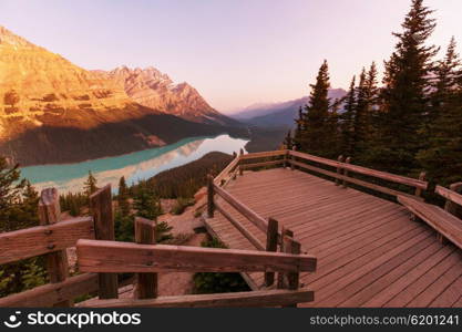 Peyto Lake in Banff National Park, Canada