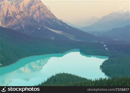 Peyto Lake in Banff National Park, Canada