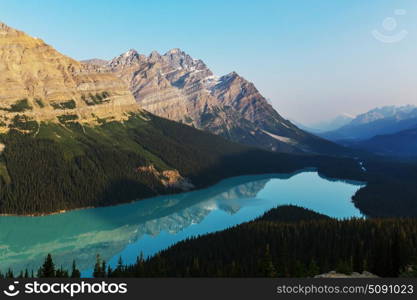 Peyto lake. Peyto Lake in Banff National Park, Canada