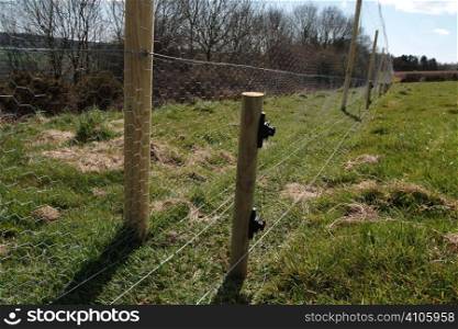 Pheasant pen fencing and electric fence