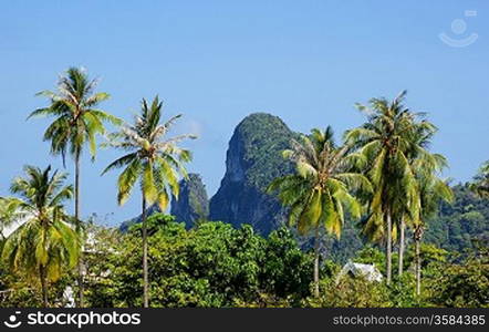 Phi Phi Don island Krabi Province, Thailand