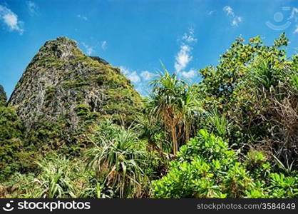 phi phi island Krabi Province, Thailand