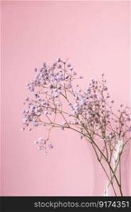 phone background, flowers, gypsophila twig, souvenir, present, pink background, text space, gypsophila, vase, glass stand, glass vase, vertical. Small purple and white gypsophila flowers stand in a vase on a pink background