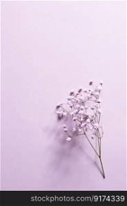 phone background, flowers, gypsophila twig, souvenir, present, white background, text space, gypsophila, vase, glass stand, glass vase. Small purple and white gypsophila flowers lie on a lilac background