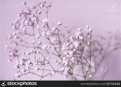 phone background, flowers, gypsophila twig, souvenir, present, white background, text space, gypsophila, vase, glass stand, glass vase. Small purple and white gypsophila flowers stand in a vase on a lilac background