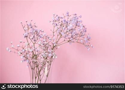 phone background, flowers, gypsophila twig, souvenir, present, white background, text space, gypsophila, vase, glass stand, glass vase. Small purple and white gypsophila flowers on a pink background in a vase