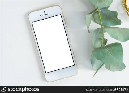 Phone with green plant mock up flat lay styled scene, top view, copy space on empty screen background. Offise desktop scene