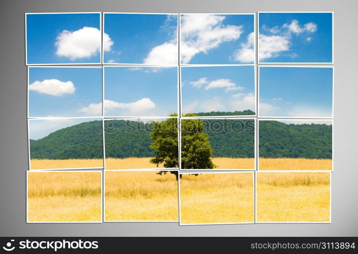 Photo cut into pieces with nature concept