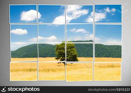 Photo cut into pieces with nature concept