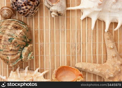 Photo frame of mats and sea shells