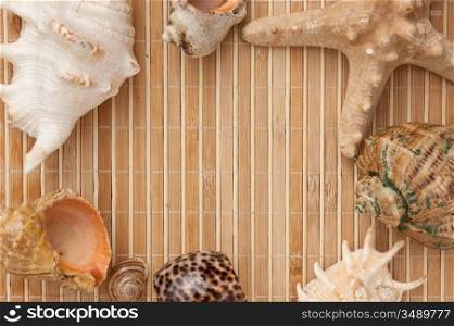 Photo frame of mats and sea shells