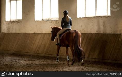 Photo from back of woman doing horseback riding in manege