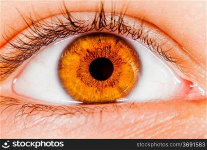 Photo Human eye close-up.