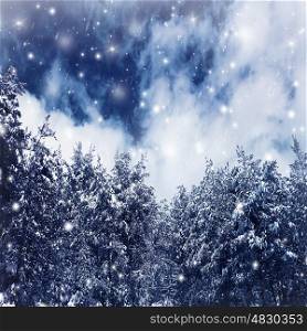 Photo of a beautiful winter forest, big spruce covered with snow, natural border of old Christmas trees over blue sky, fresh wintertime background with falling snowflakes, dreamy fairytale