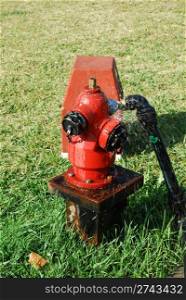 photo of a bright red fire hydrant (grass background)