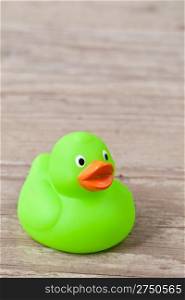 Photo of a colorful rubber duck for bath