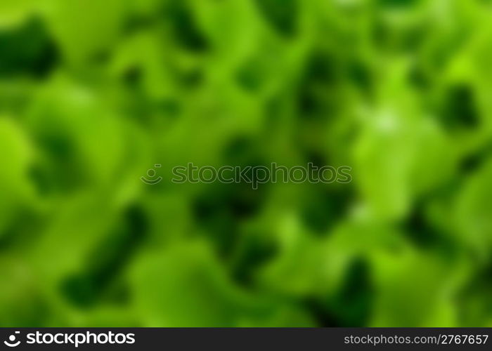 photo of a delicious fresh green blurred salad pattern background