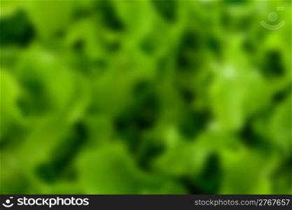 photo of a delicious fresh green blurred salad pattern background