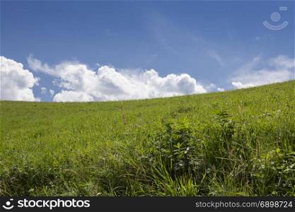 Photo of a large open field and clear sky.